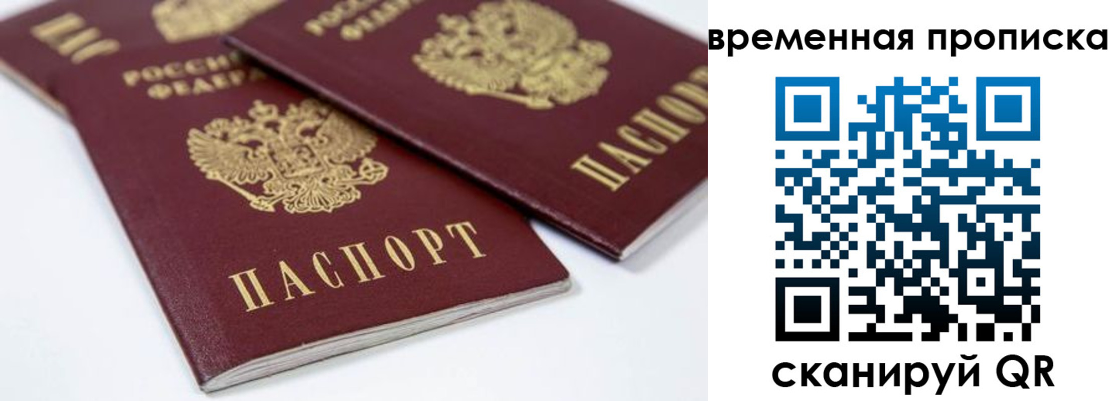 прописка для школы в Каргополе